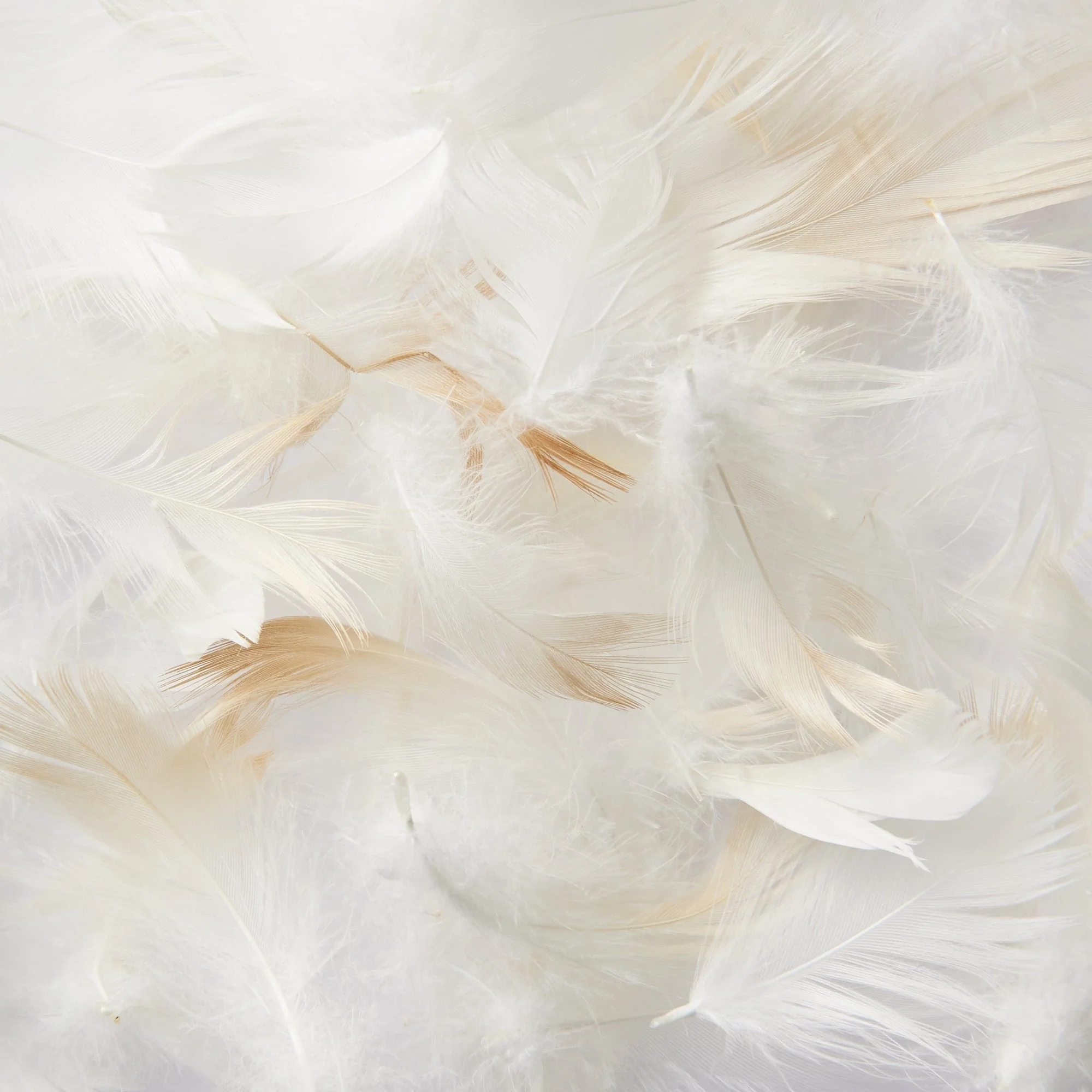 Feather Pillow (43 x 63 cm) - Image 4