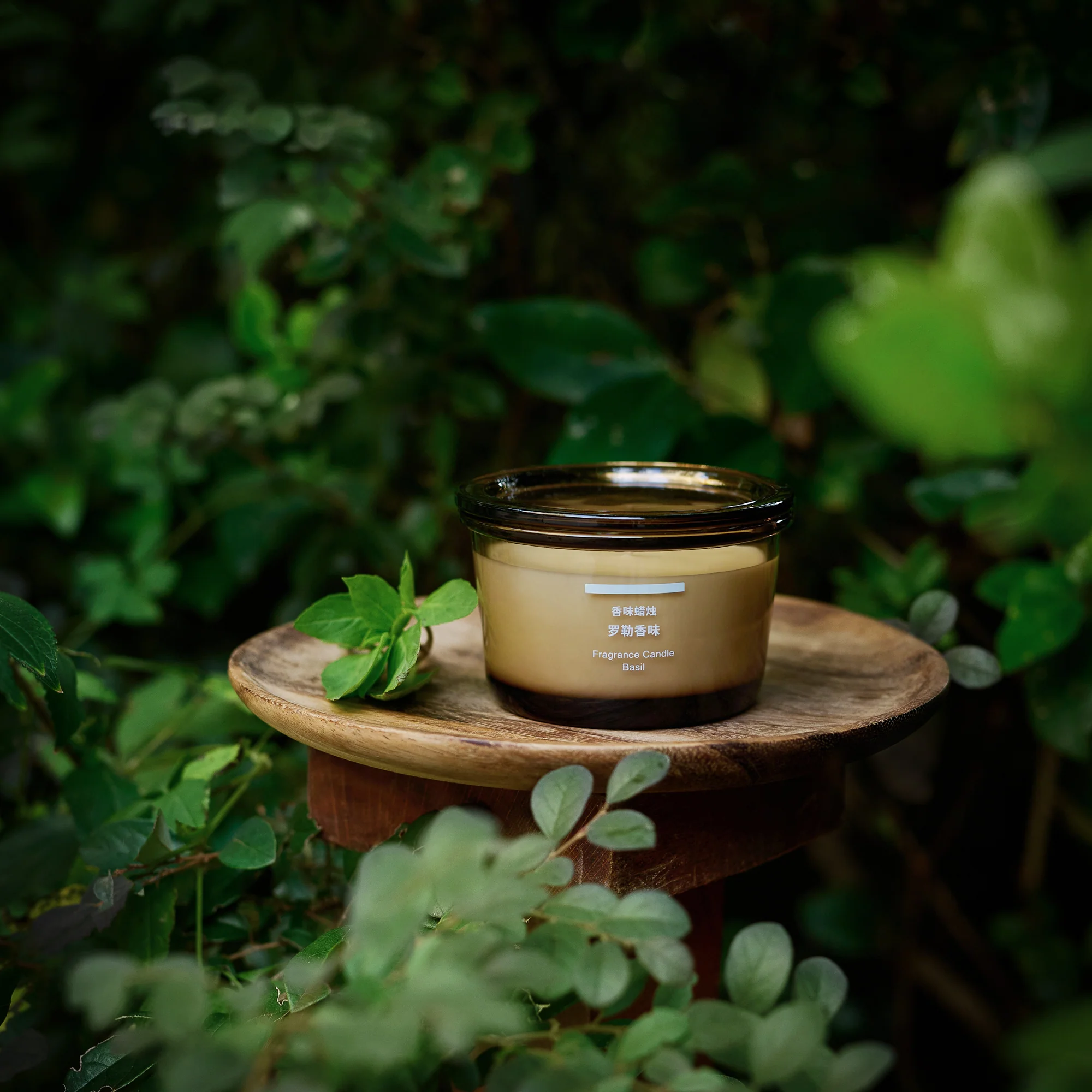 Fragrance Candle - Sandalwood - Image 14