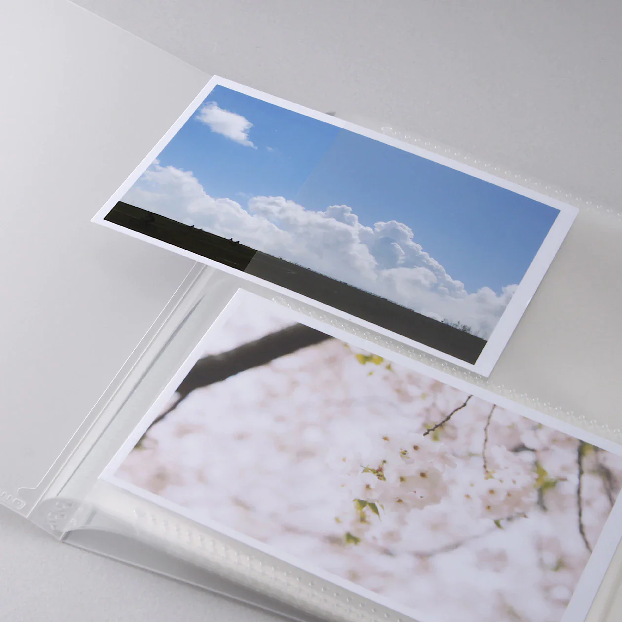 Polypropylene Album 2 Row - Image 4